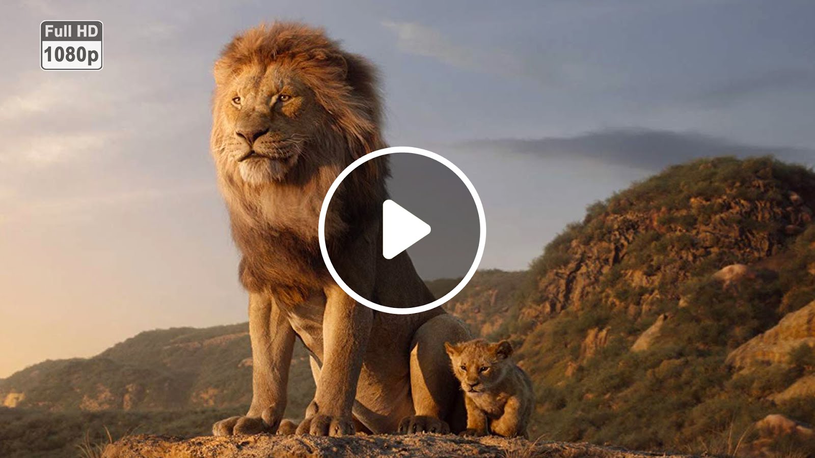 Download D21 FUN The Lion King 2019 1590024428 mp4
