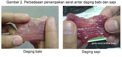 Cara Membedakan Daging Sapi Dan Daging Babi [ www.Up2Det.com ]