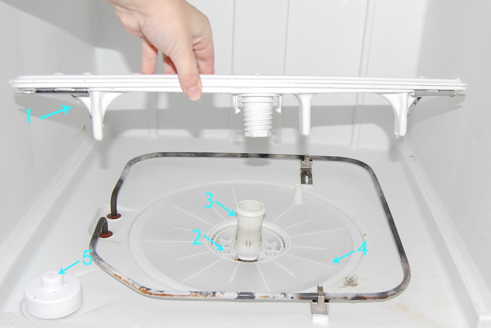 How To Naturally Clean Your Dishwasher