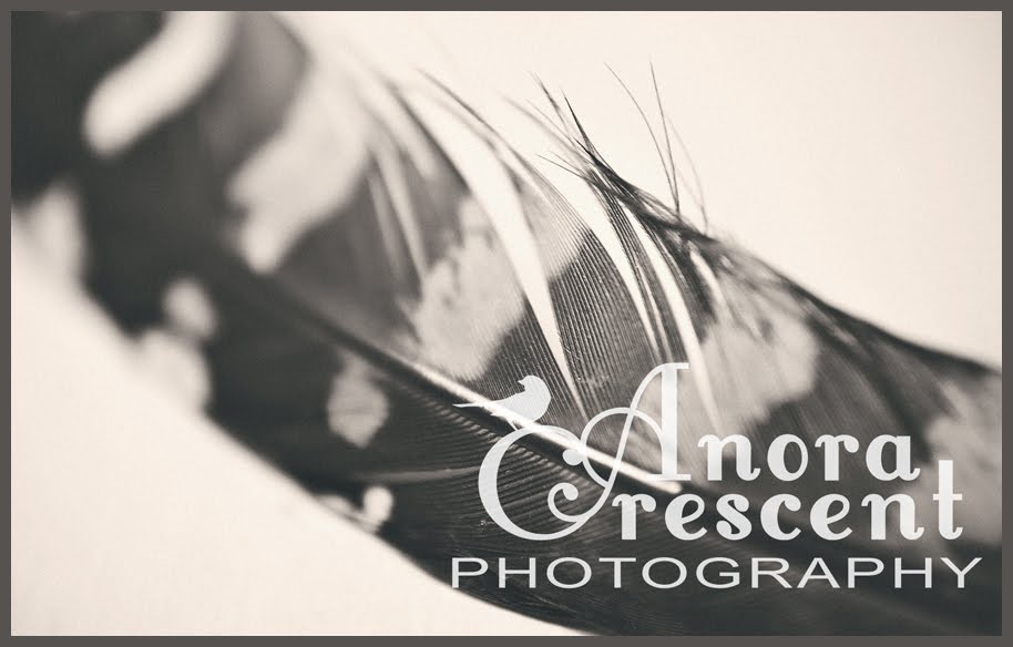 Anora Crescent Photography