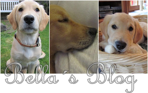 Bella´s Blog