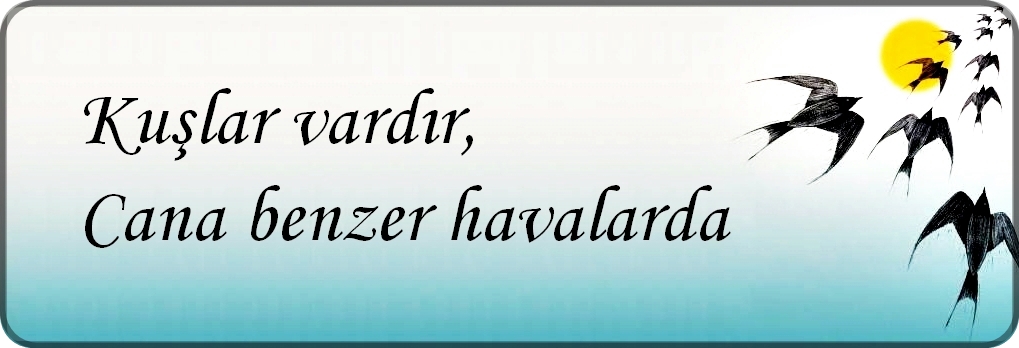 kuşlarvardırcanabenzerhavalarda...