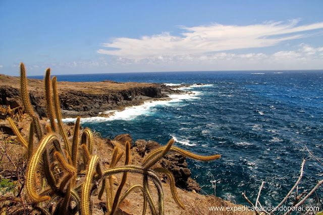 Vista da Pontinha na trilha do Atalaia Longa