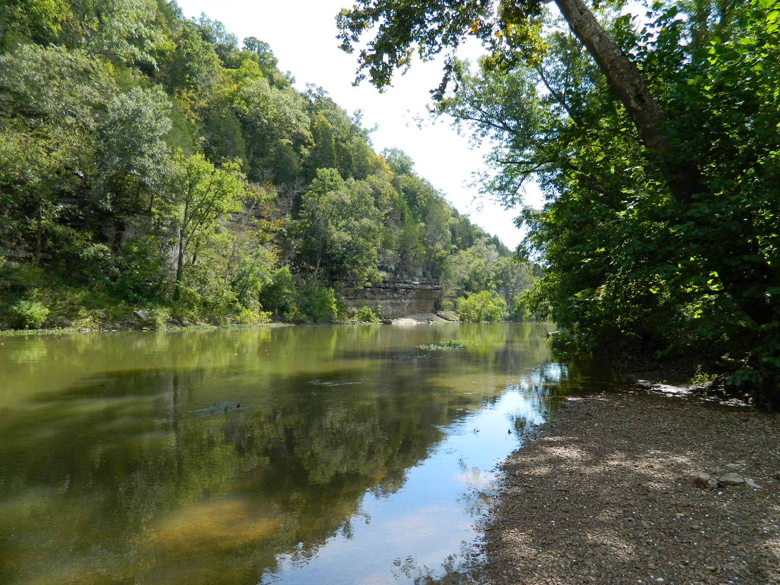 Paddle Tennessee Duck River Carpenters Bridge to Leftwich Bridge
