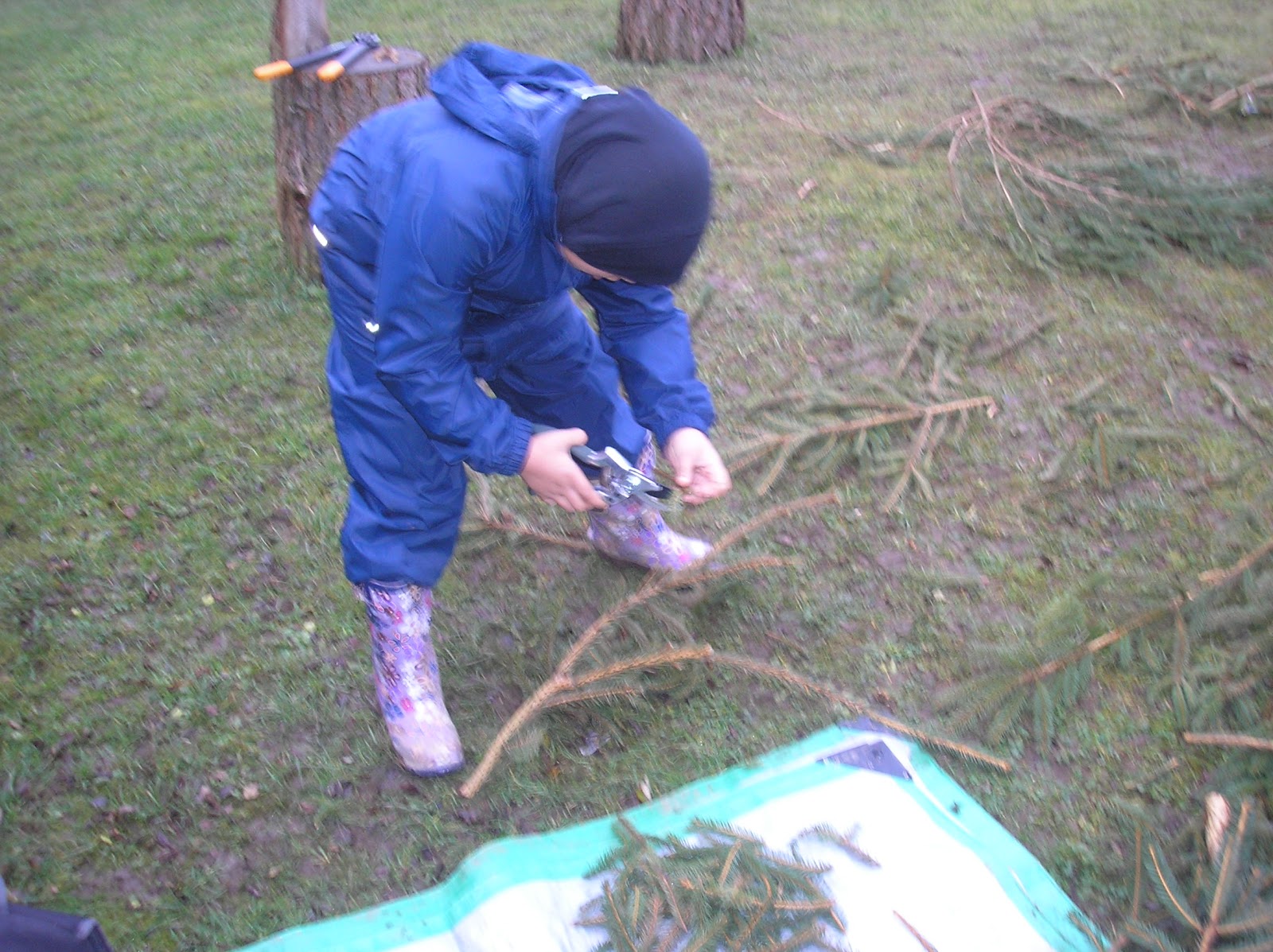 Fagley Primary Forest School Session 11 Saws, Loppers and Secateurs