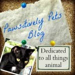Pawsitively Pets Pawsitively Pets