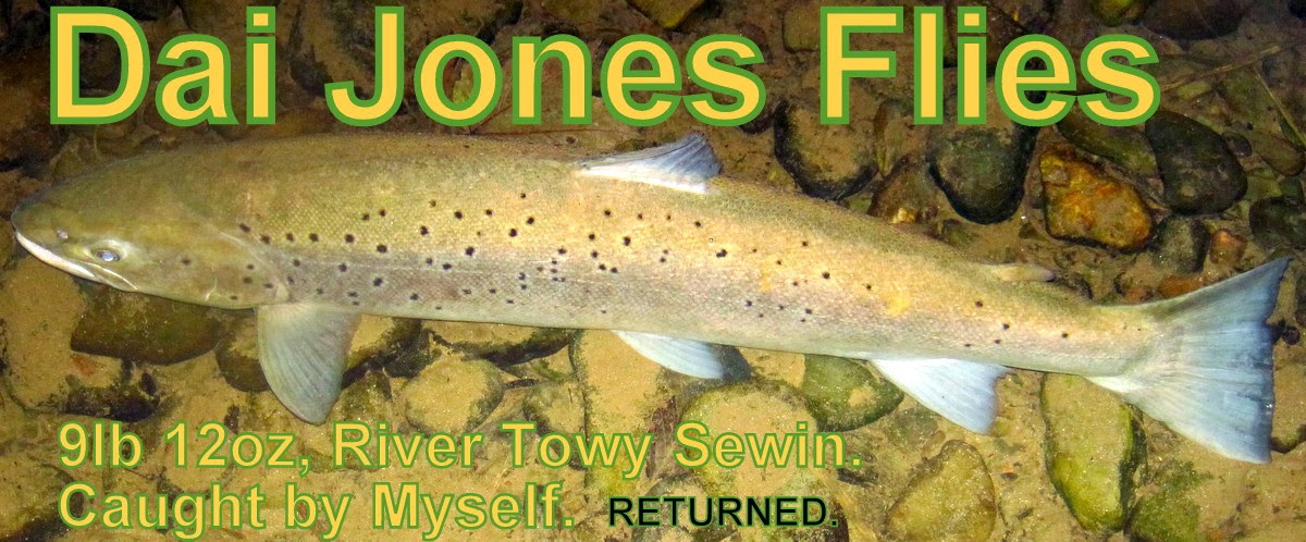 Dai Jones Salmon & Sea Trout Specialist