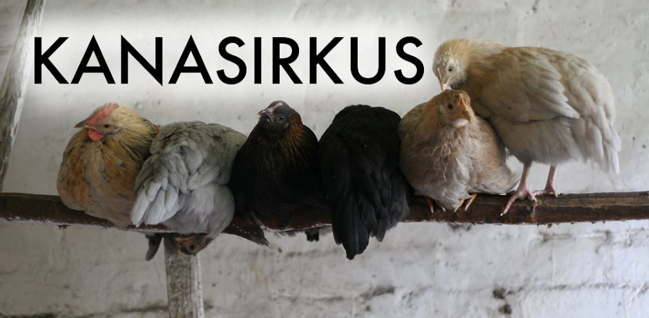 Kanasirkus