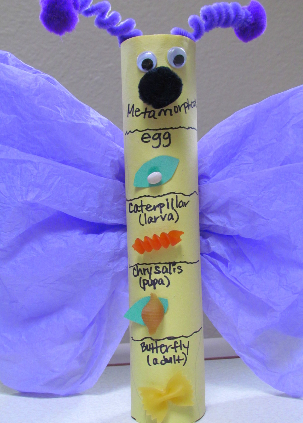 2-IMG_6049.JPG (1003×1400) | Kindergarten science, Science classroom