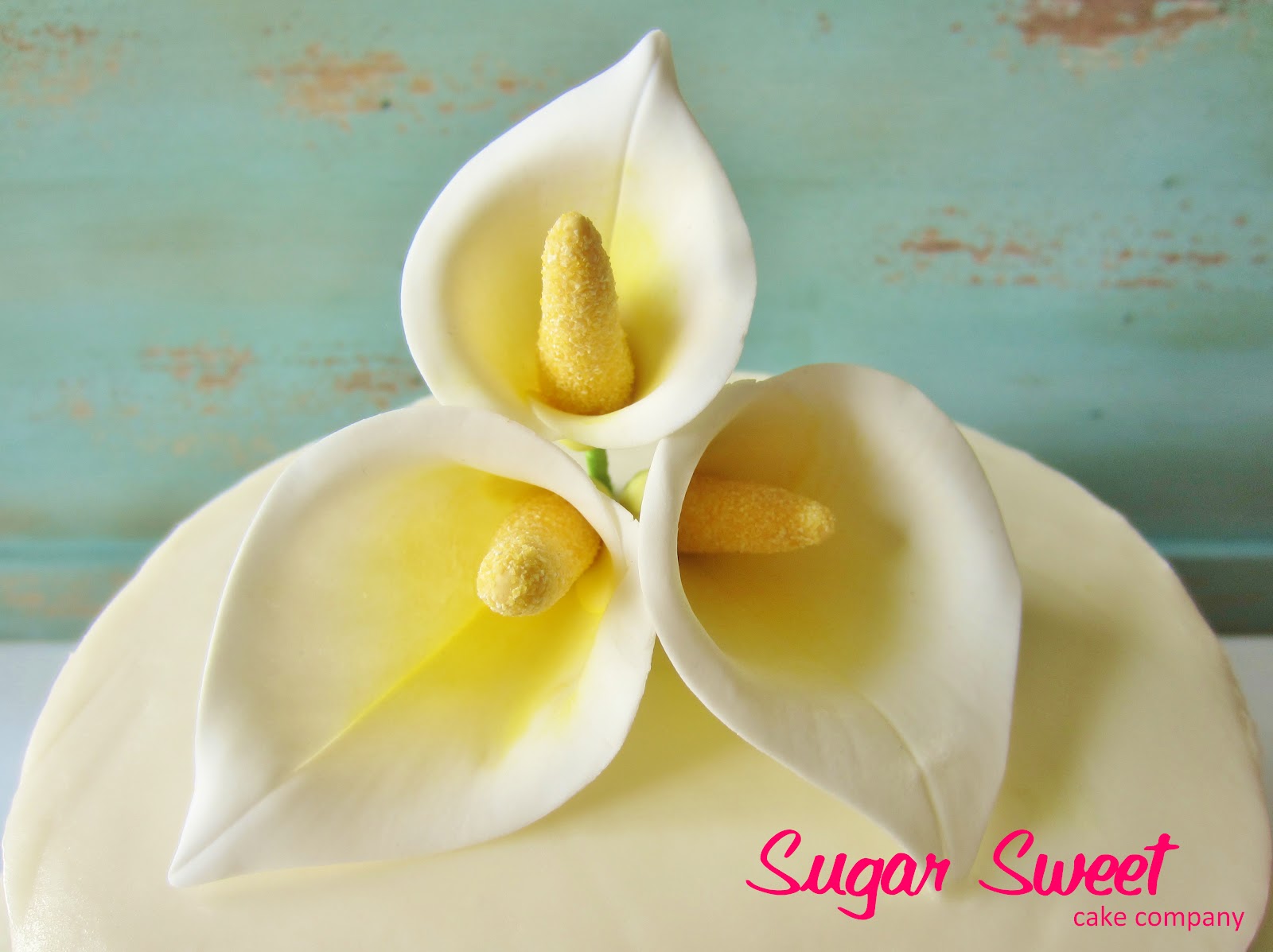 Sugar Sweet Cake Company Sugar Sweet Weddings
