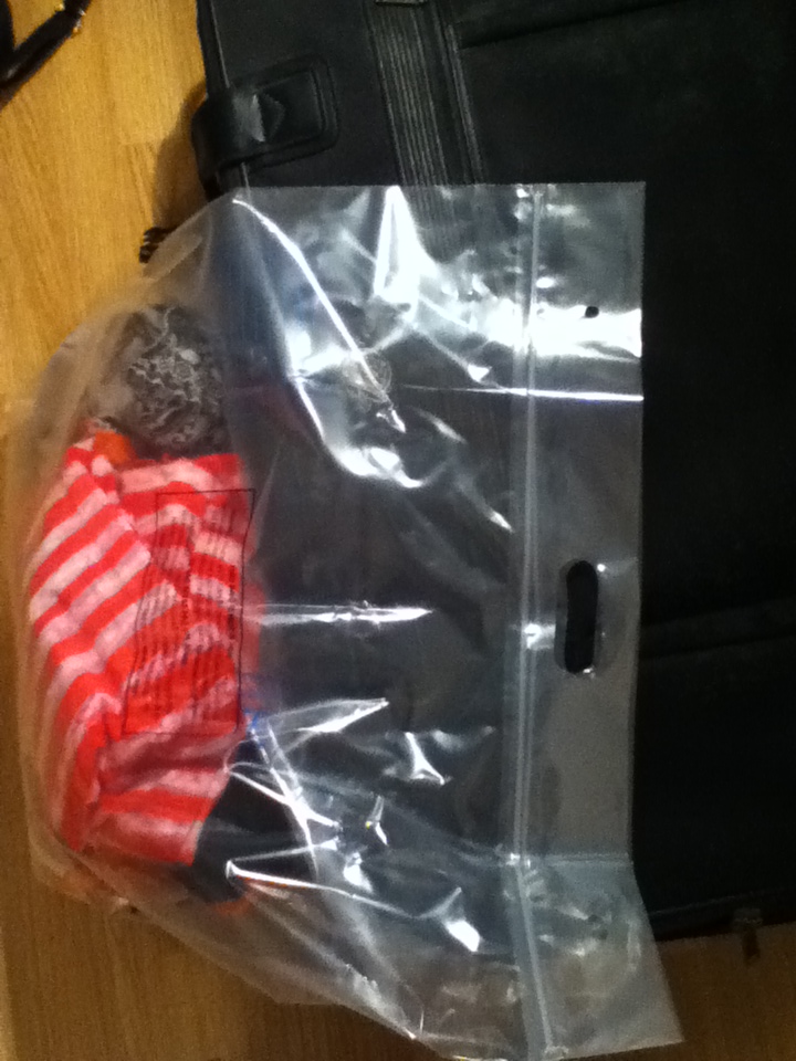 The Dividend Girl A nice finding at the Dollarama Store the Zipper Seal Giant Bags