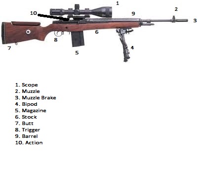Nu2Guns: Anatomy of a Rifle