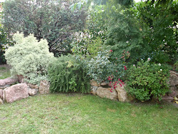 Aménagement de jardin Mont de Marsan