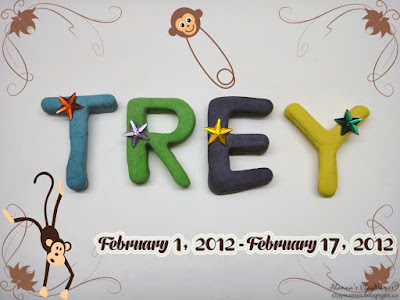 Trey February 1 2012