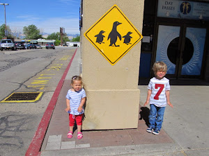 penguin crossing