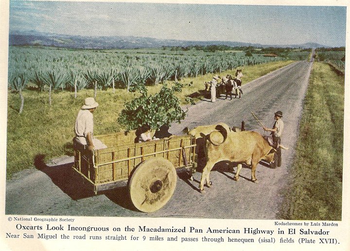 Café de El Salvador por National Geographic en 1944