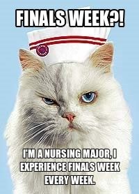 How to Survive Nursing School: Intro!