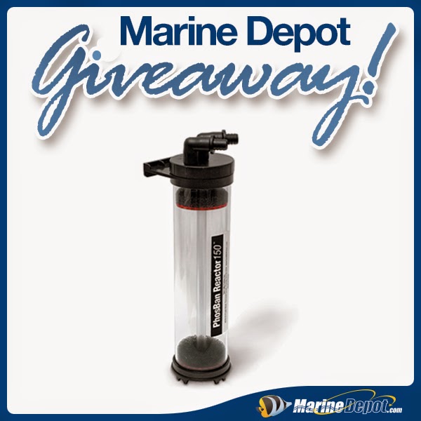 marine depot blog