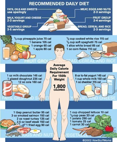 Calorie Cycling Counting Calories For Weight Loss