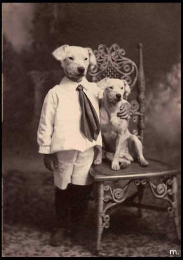 20 Strange and Adorable Vintage Photos of Animals From The Past
