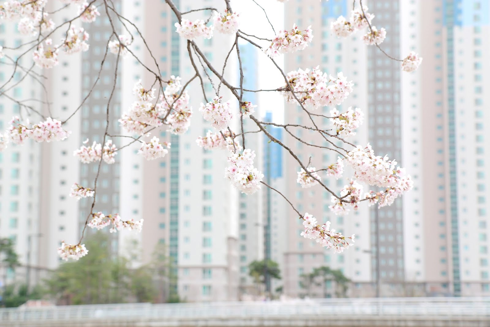 강남과 한강을 품은 비즈니스 랜드마크!