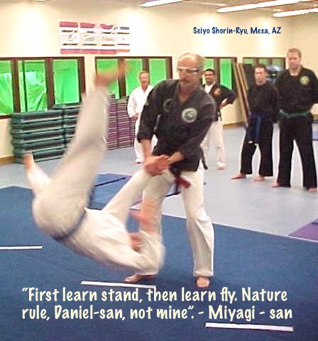 Traditional Jujutsu and Karate