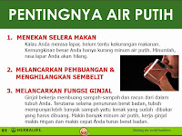 PENTINGNYA AIR PUTIH