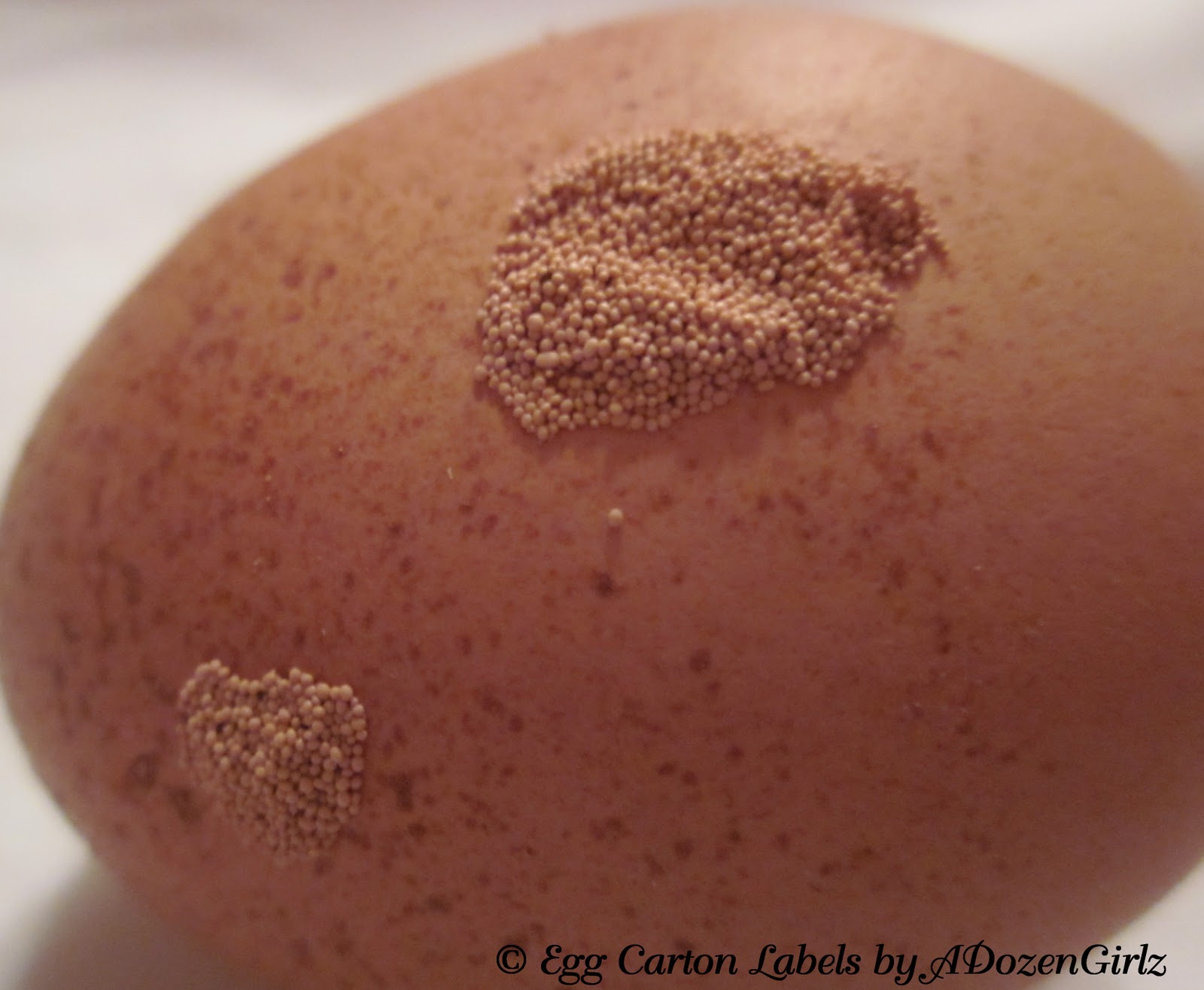 Egg shells can have different textures causes by a range of things from excess calcium intake