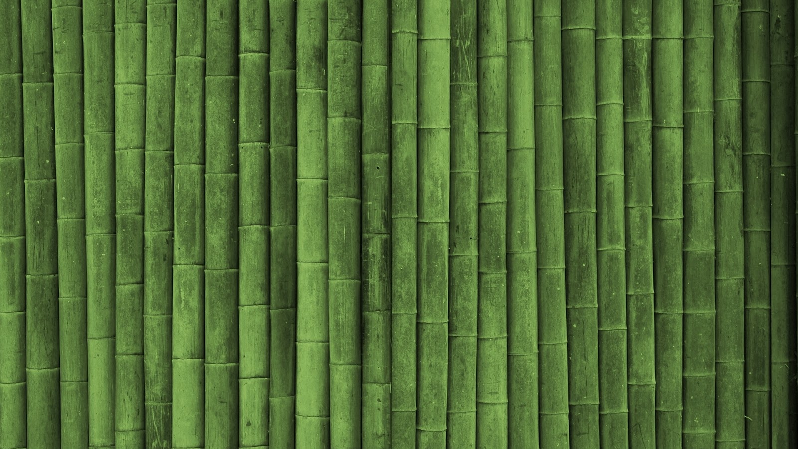 bamboo template
