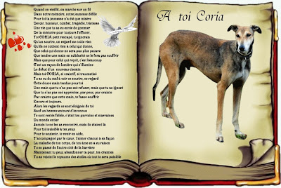Coria partis au de la du pont de l'arc en ciel Poeme+A+TOI+CORIA