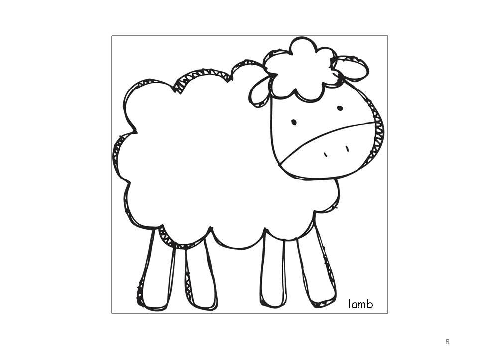 LMN Tree Vocabulary Matters Part 6 Concept Picture Sorts