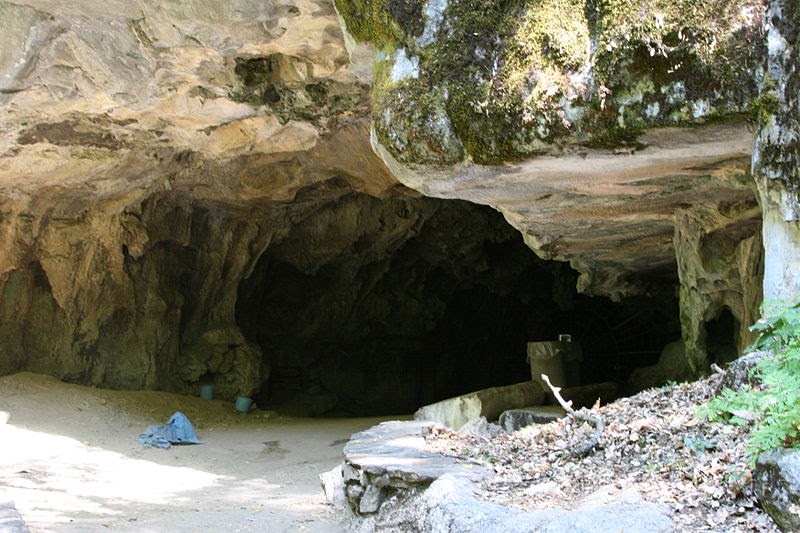 Karst Worlds Jobs in Cave Conservation