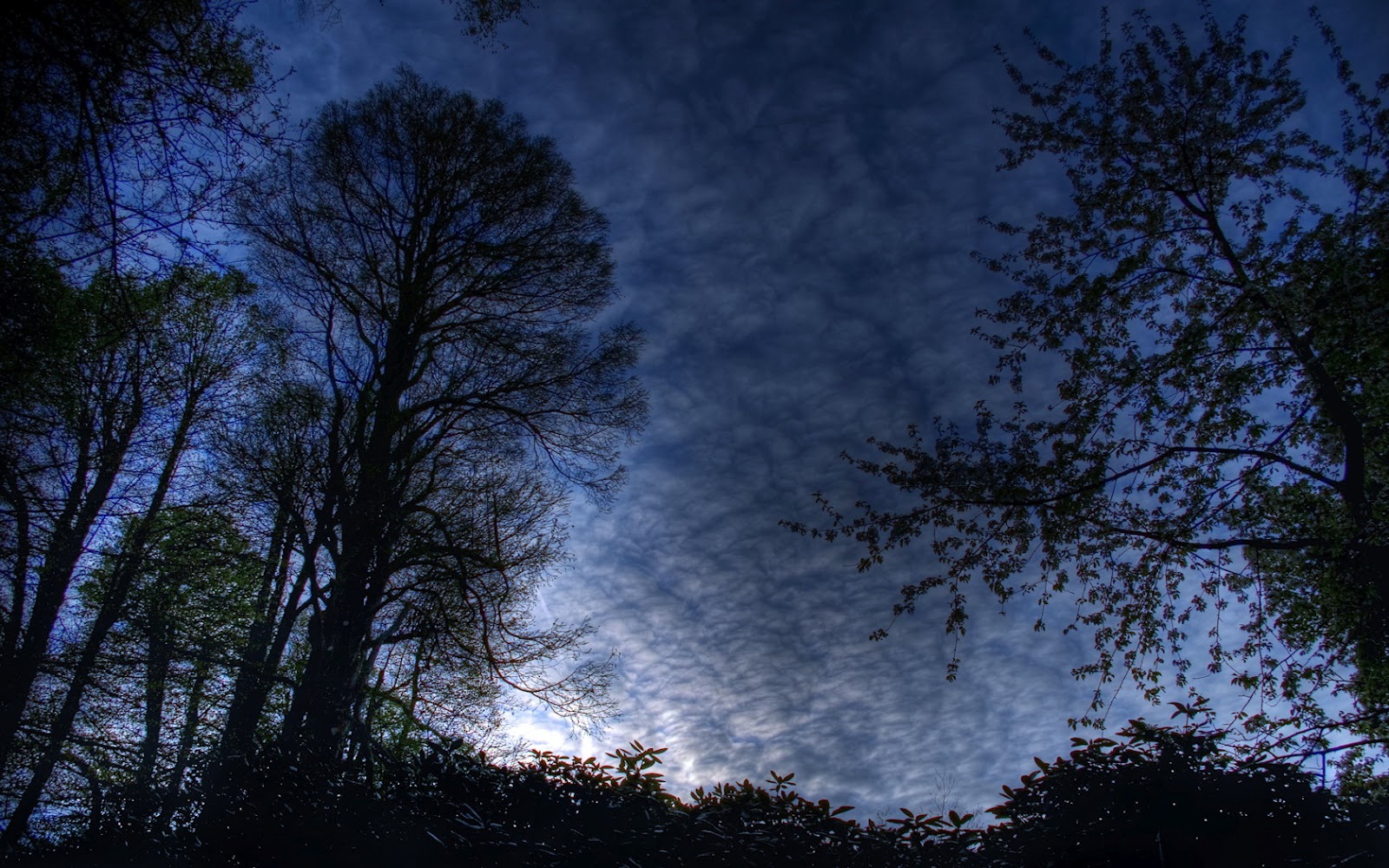 halloween autumn sky halloween autumn sky