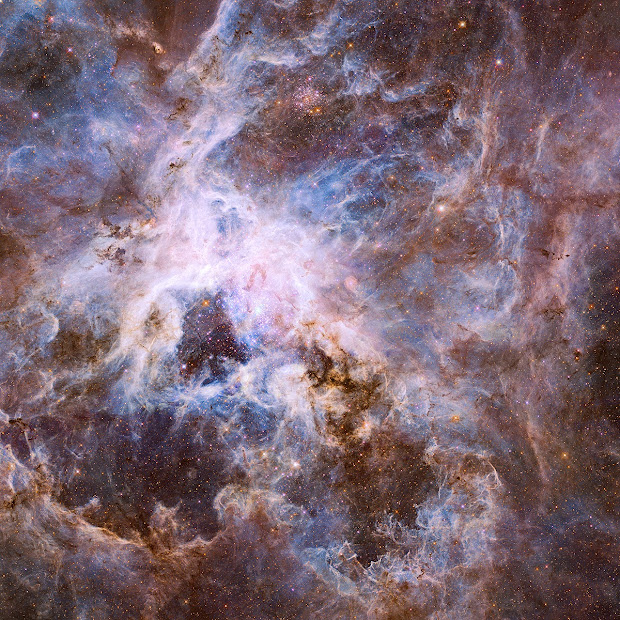 The Tarantula Nebula as seen by Hubble
