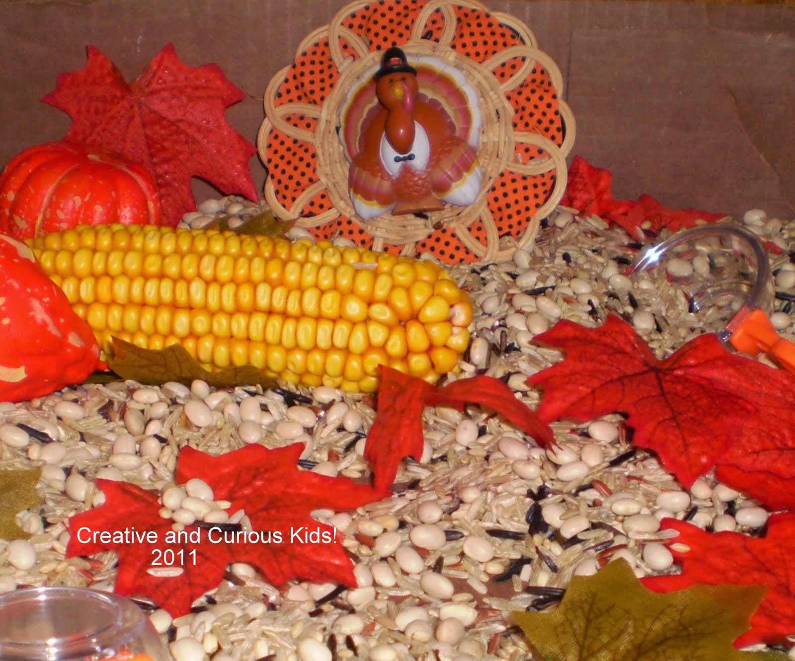 Creative and Curious Kids! November Sensory Bin and Leaf Play!