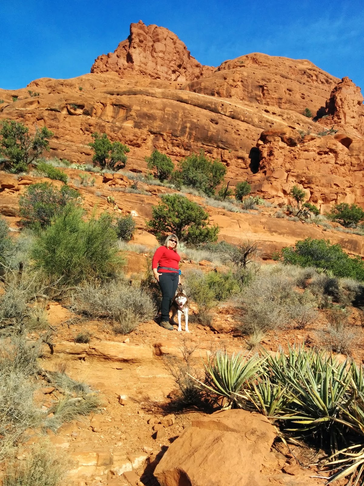 Dogs Luv Us and We Luv Them: 100 Places To See With Your Dog: Sedona in