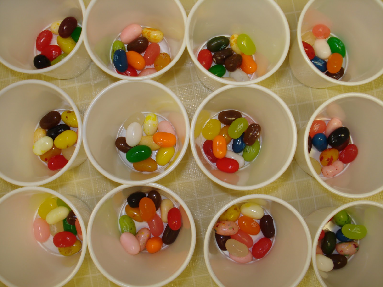 Real Teachers Learn The Dichotomous Key