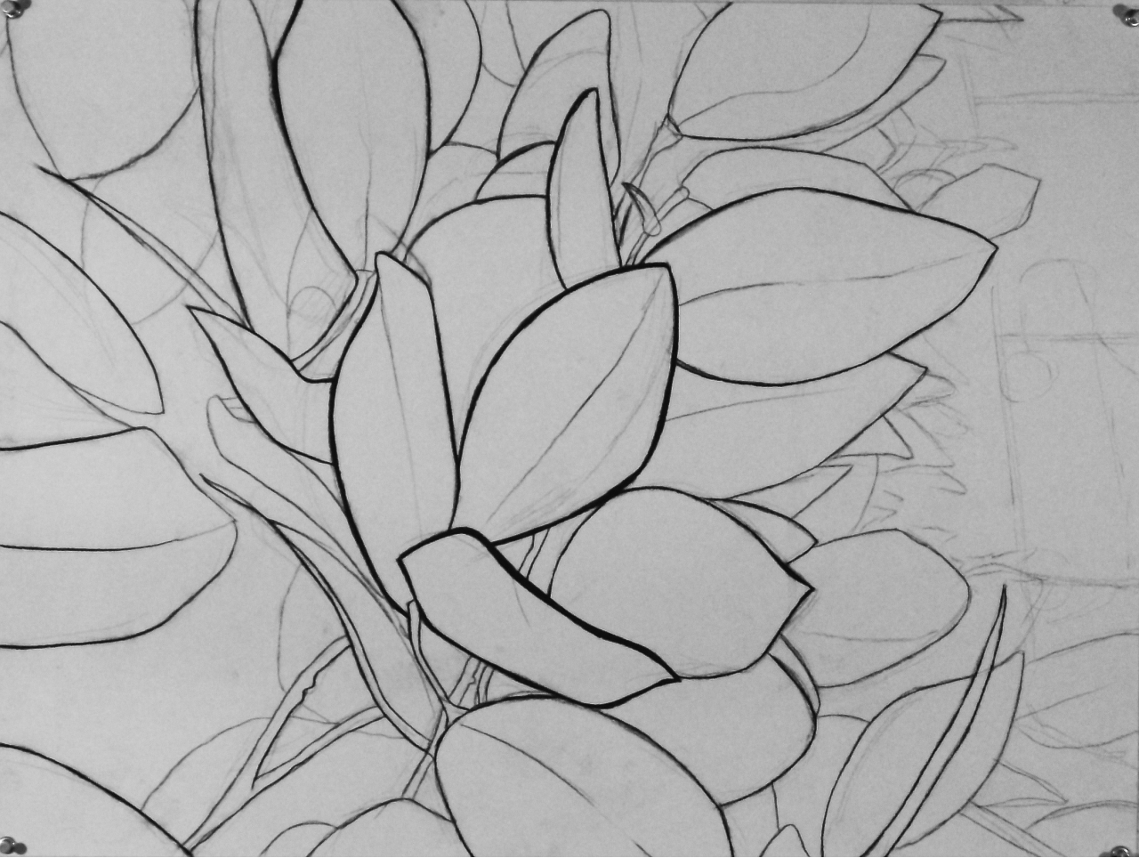 Basic Drawing 1 Freehand Perspective Plants & Flowers