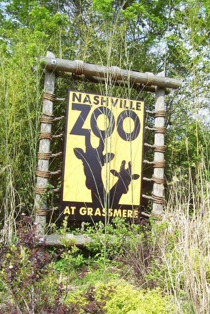 Nashville Zoo At Grassmere - Nashville Zoo Animals