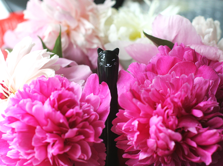 TonyMoly Cats Wink Mascara