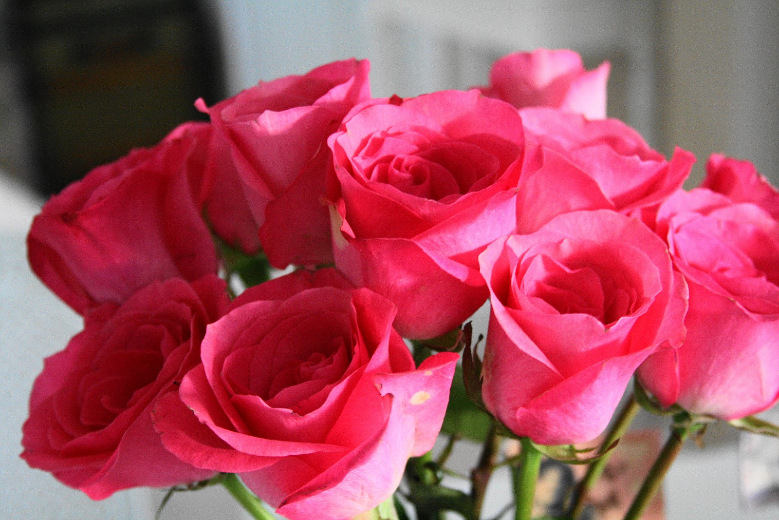 For the love of white Flowers and the Power of Love