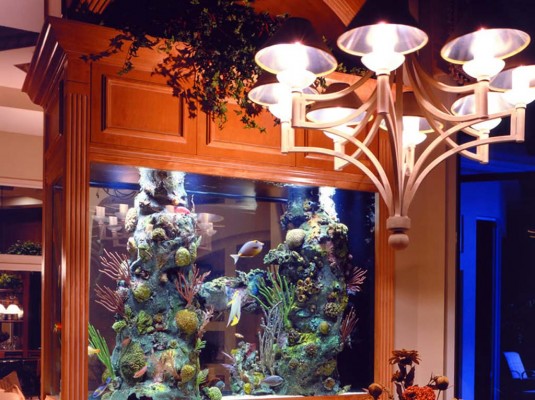 contemporary aquariums interior design ideas
