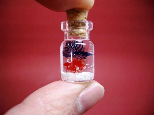 AWESOME MINIATURE BOTTLES ART