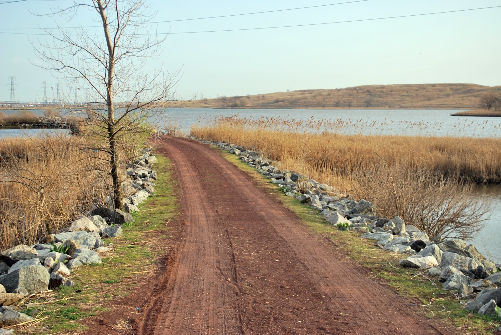 Litton's Fishing Lines No Fishing at DeKorte Park/Tried for Stripers