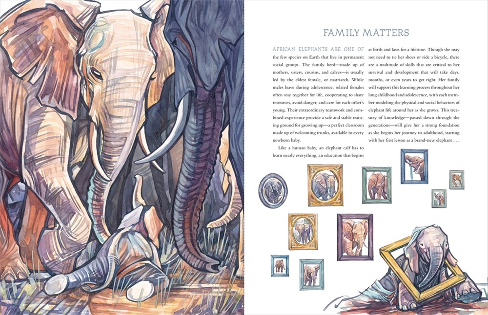 Let's Talk Picture Books HOW TO BE AN ELEPHANT