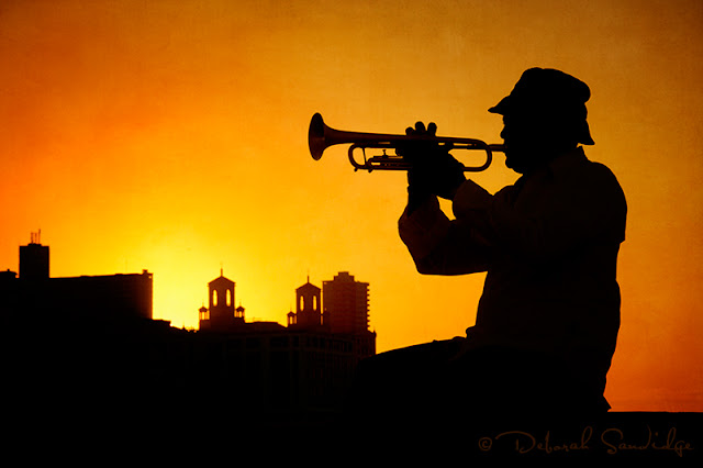 cuba trumpet player