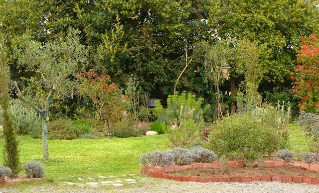 Au Gre Du Jardin L Embarras Du Choix Parmi Les Choisyas