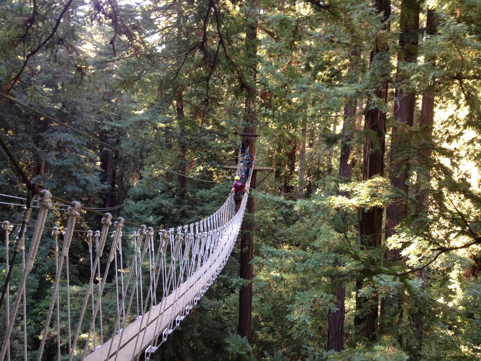 Zip Lining My Way Through the Redwoods in the Santa Cruz Mountains