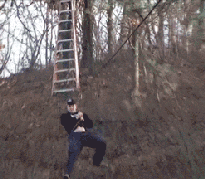 humpday.gif