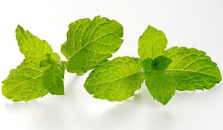 [Image: B%E1%BA%A1c+h%C3%A0.jpg]